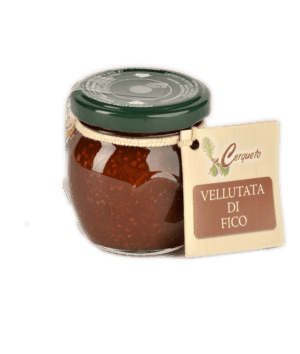 Vellutata di fico biologica