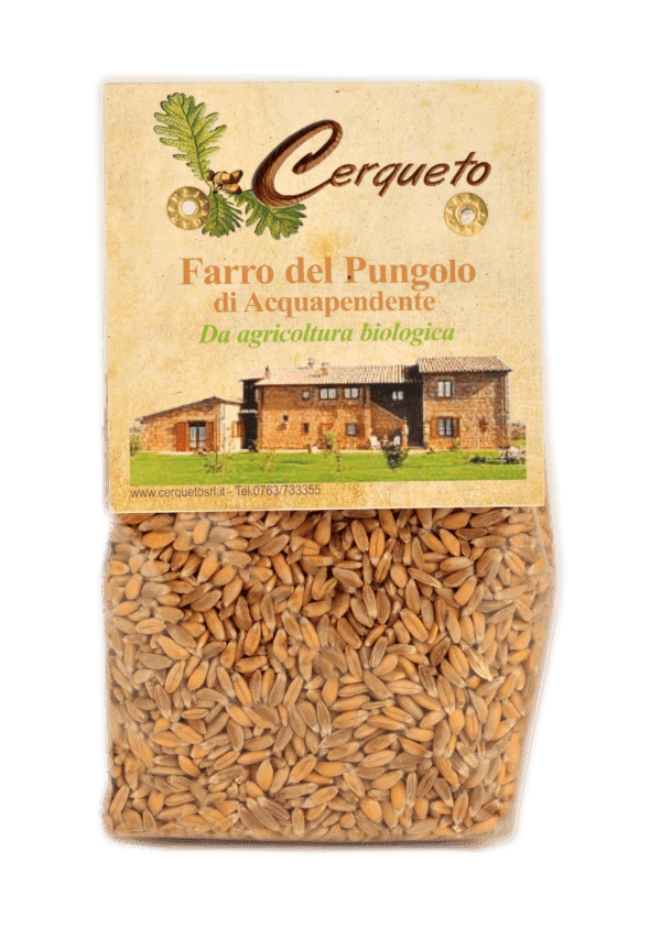 Farro del Pungolo biologico
