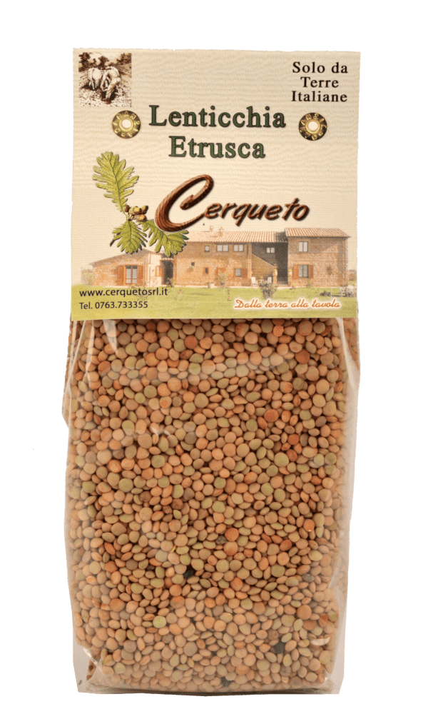 Lenticchia etrusca